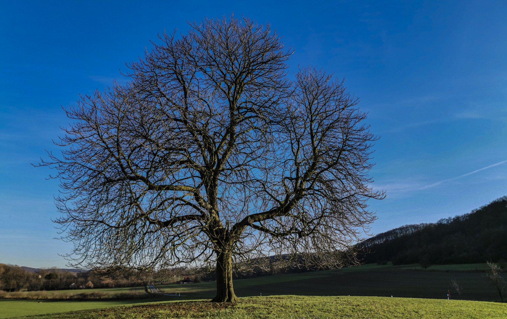 Eiche rustikal