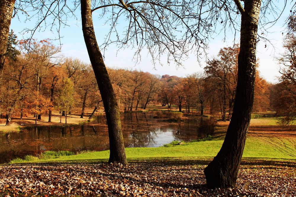 Eichelsee im Fürst-Pückler-Park, Bad Muskau