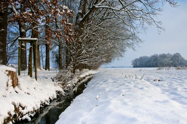 Eichenallee, Steinfurt-Borghorst