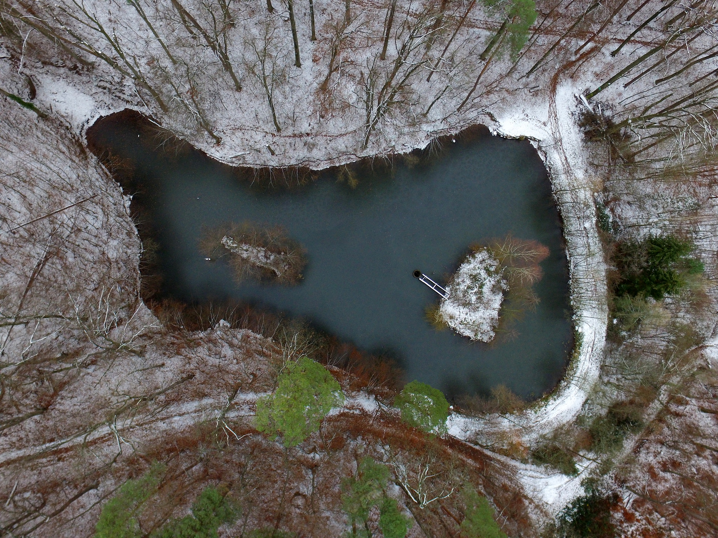 Eichensee im Winter