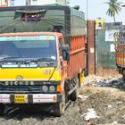 Eicher LKW