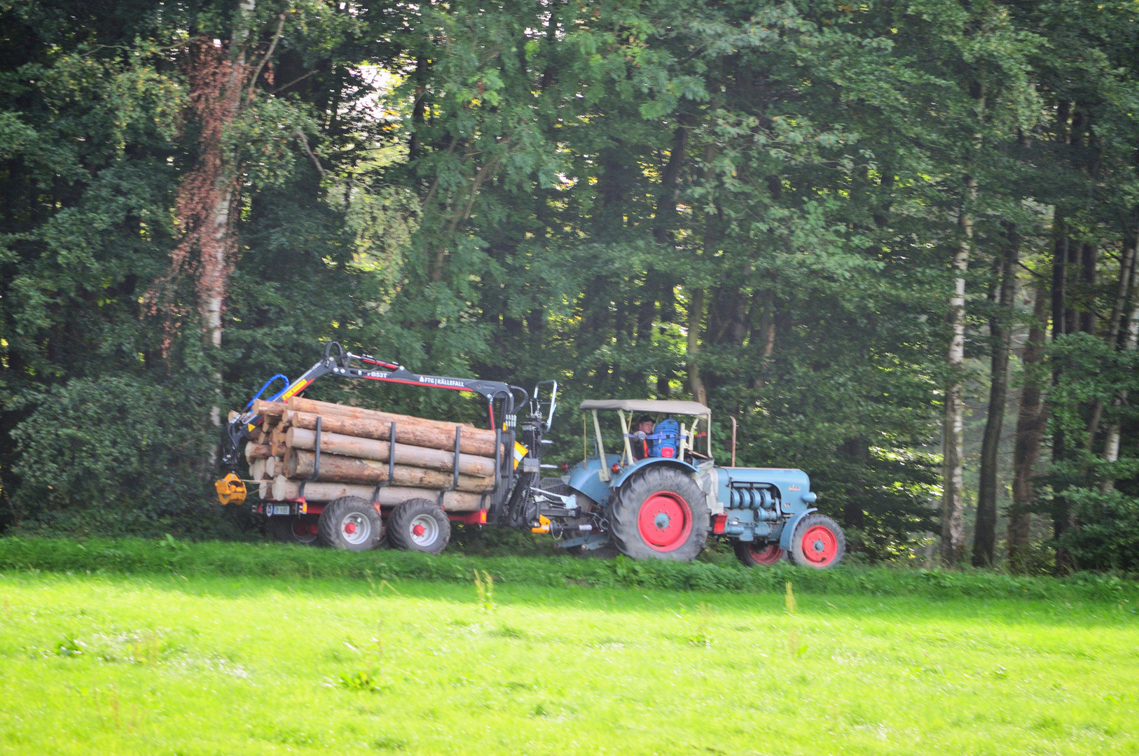 Eicher Mammut beim Holz holen.