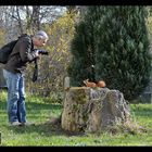 Eichhörnchen als Fotostar