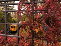 Eichhörnchen will U-Bahn fahren