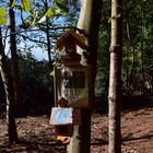 Eichhörnchenhaus im Wald oberhalb Nonnenhorn am Bodensee