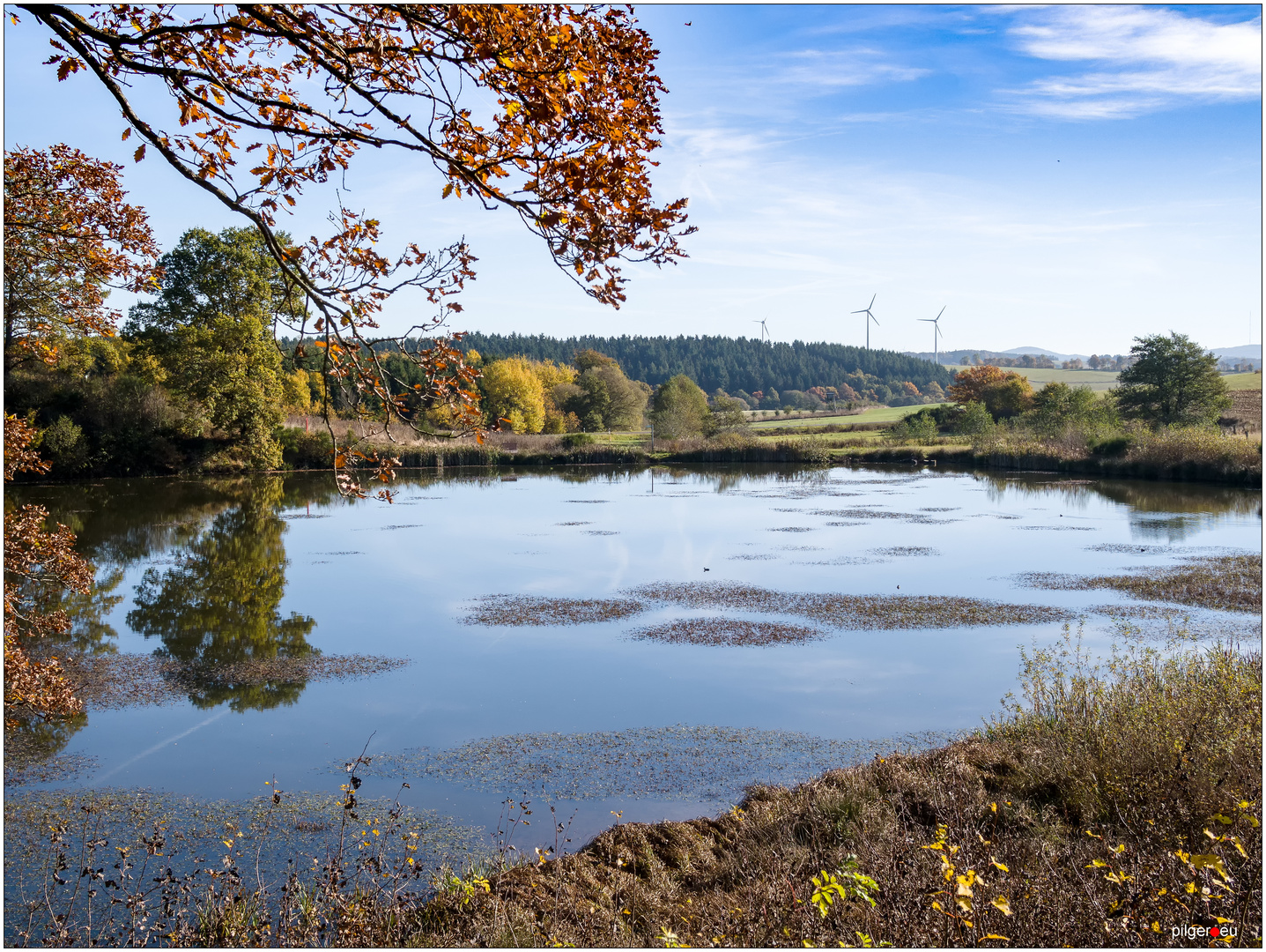 Eichholzmaar