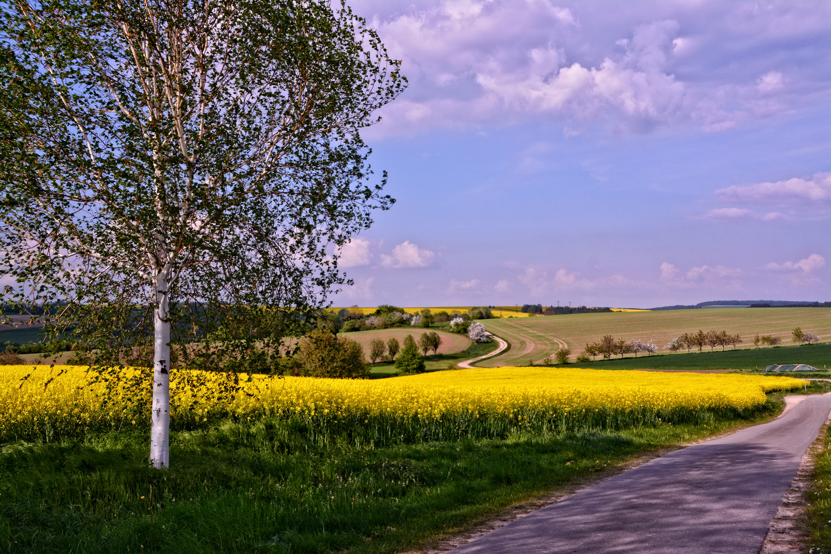 Eichsfelder Ansichten - Der Weg nach Westhausen