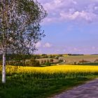 Eichsfelder Ansichten - Der Weg nach Westhausen