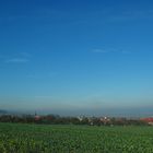 Eichsfelder Kessel bei Kleinbartloff