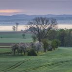 eichsfelder nebelmorgen