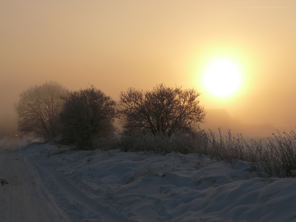 Eichsfelder Winterimpression 2