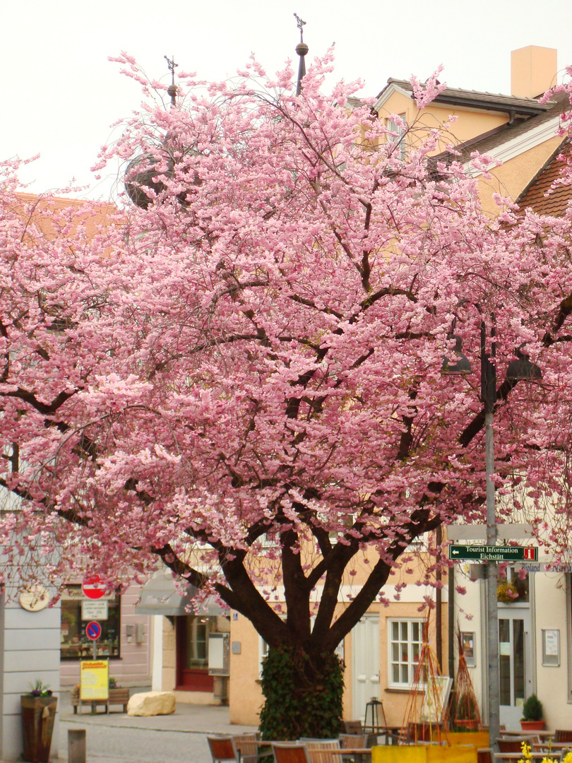Eichstätt Foto & Bild deutschland, europe, bayern Bilder auf