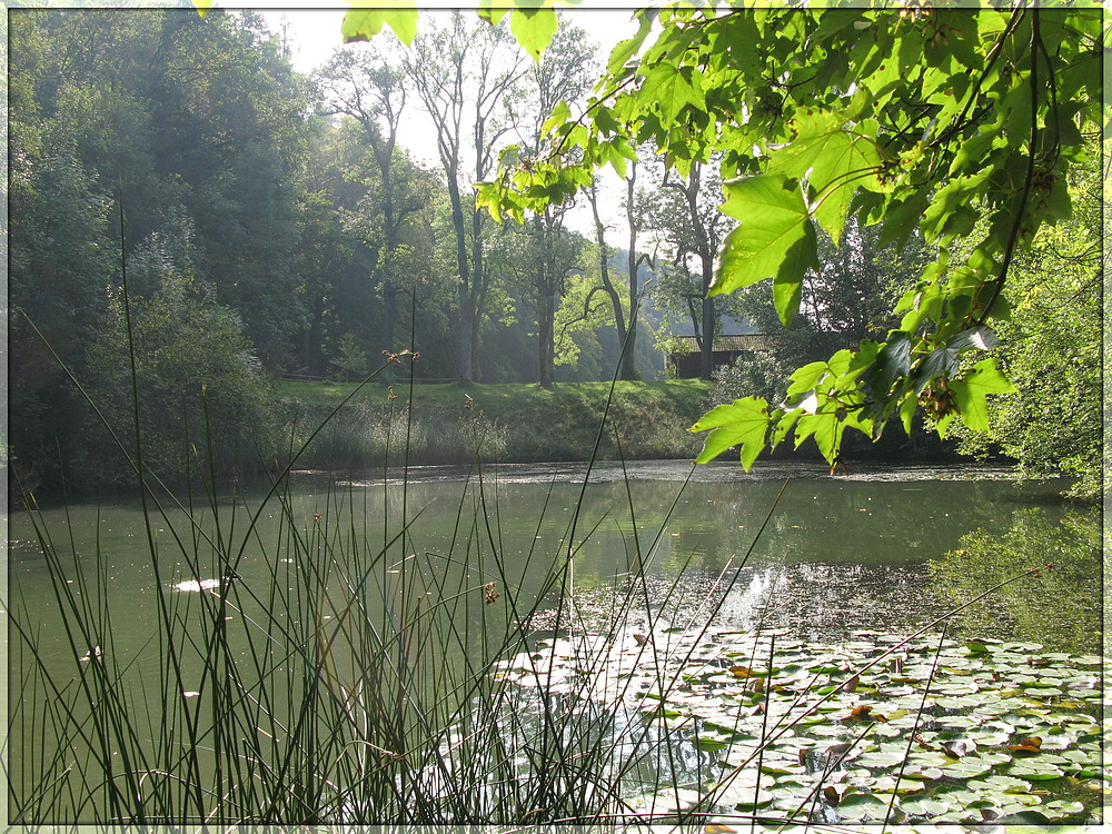 Eichweiher