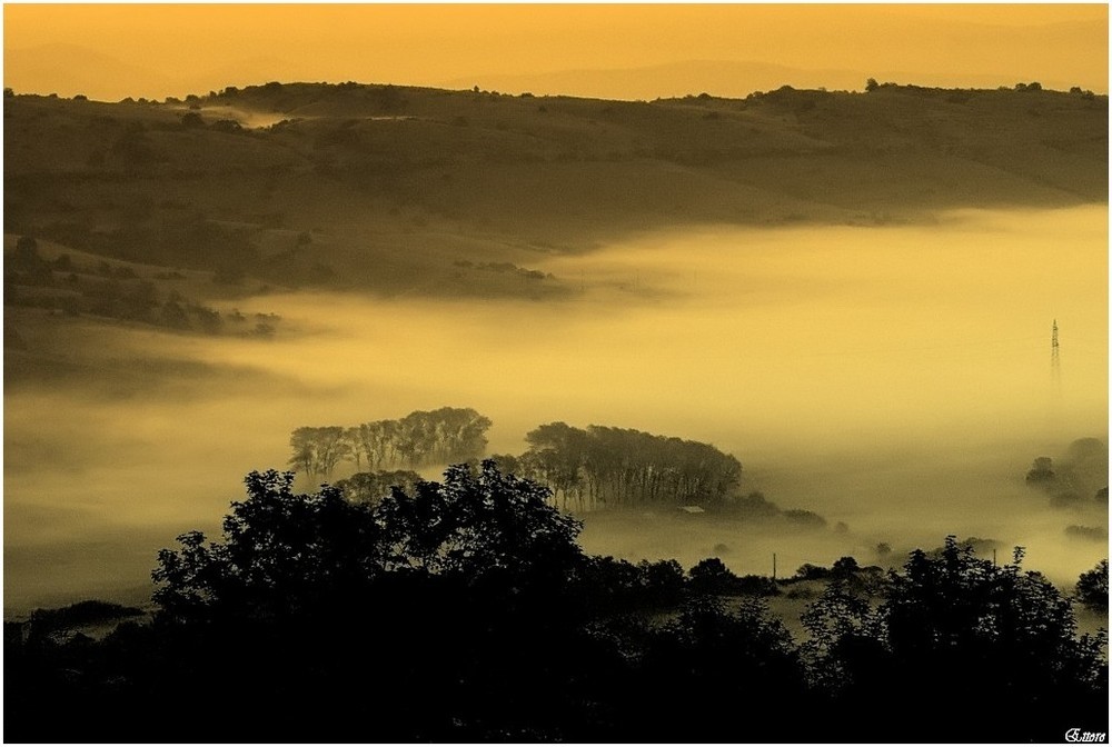 EICORDO DI ETTORE CAIO - l' alba-nebbiosa- 19