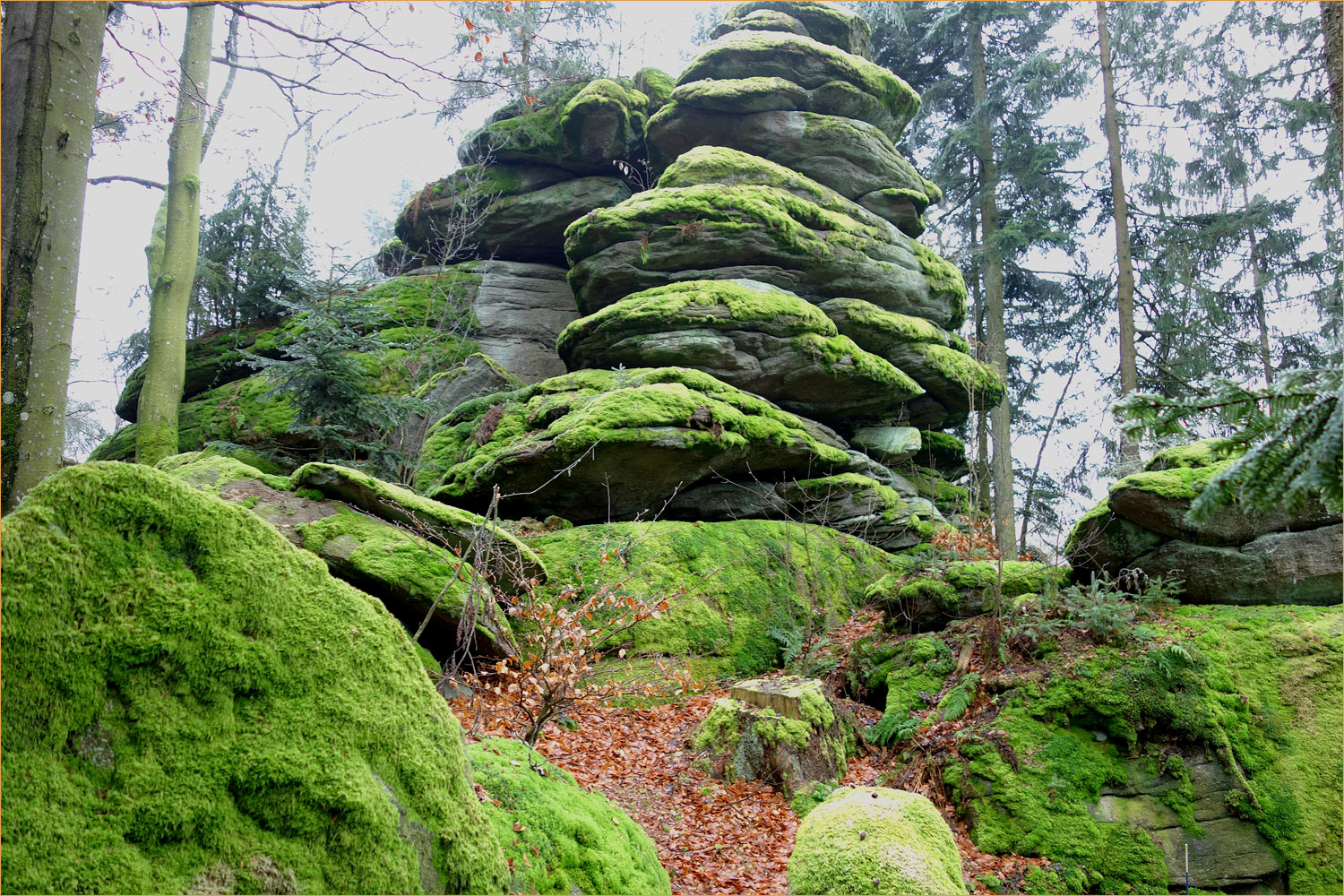 Eidenberger Lusen bei Wegscheid (Bayer. Wald)