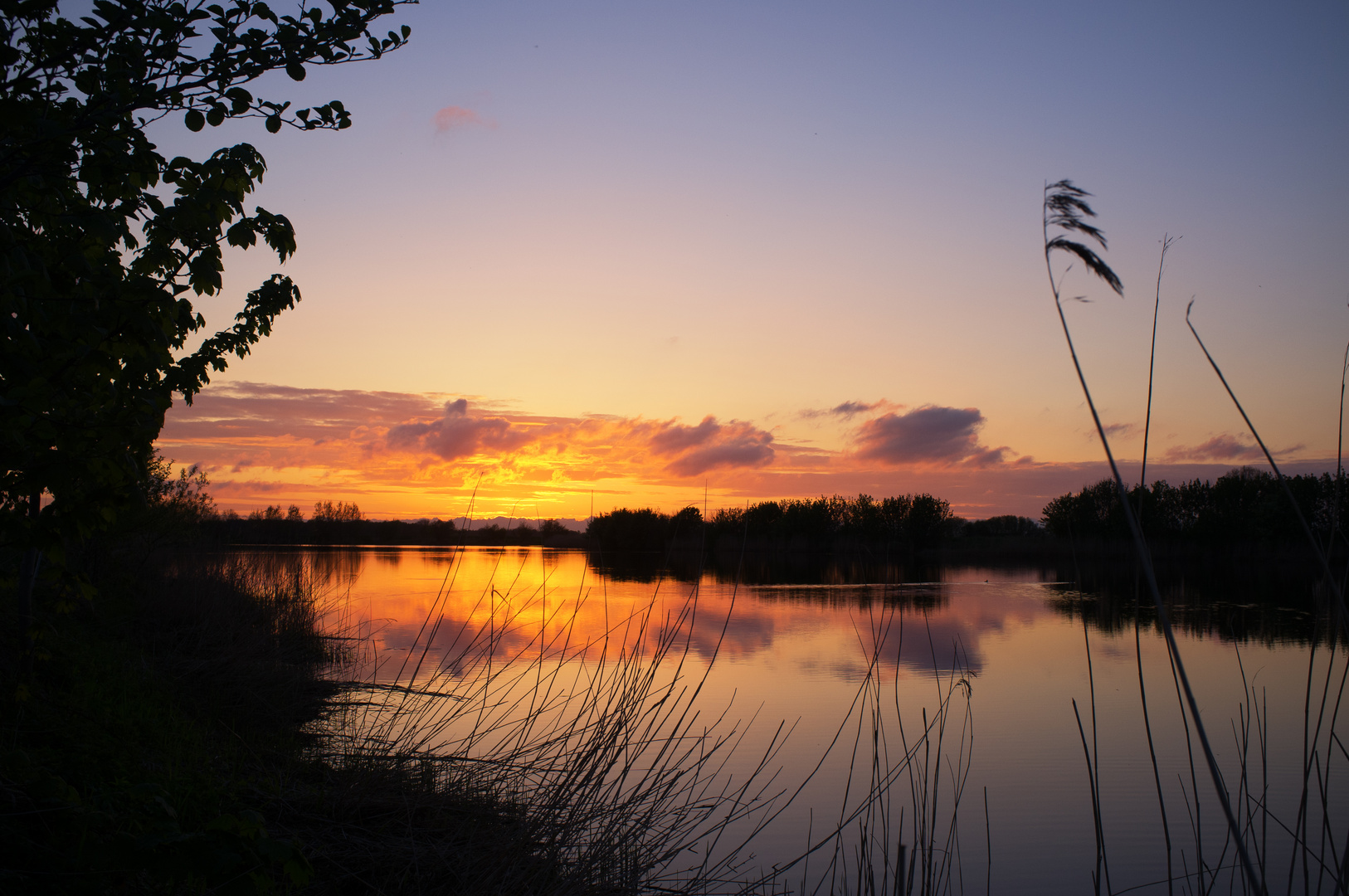 Eider Sonnenuntergang