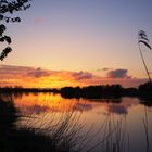 Eider Sonnenuntergang