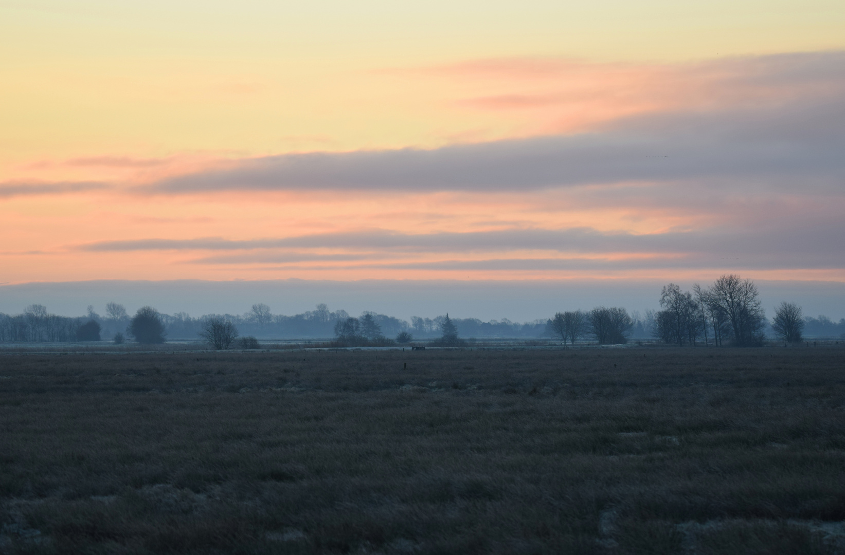 Eider-Treene-Sorge Landschaft