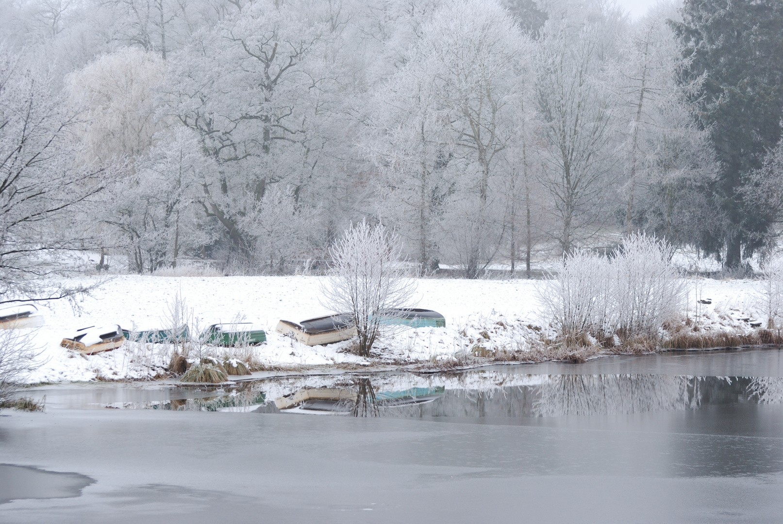 Eiderarm bei Schleuse Dosenrade #7