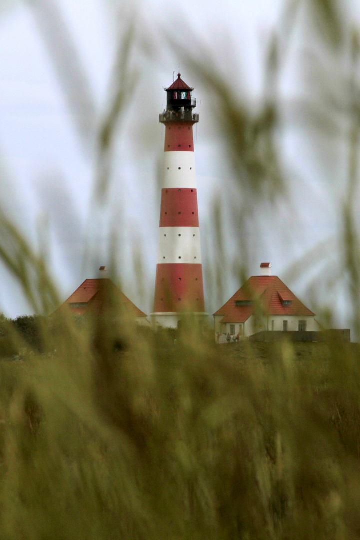 Eiderstedt Westerhever aus ungewohnter Perspektive