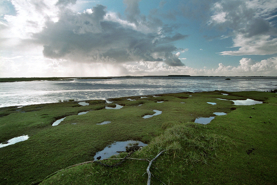 Eidervorland bei Schülperneuensiel