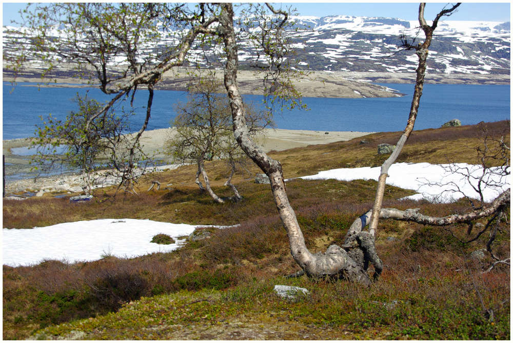 Eidfjord II