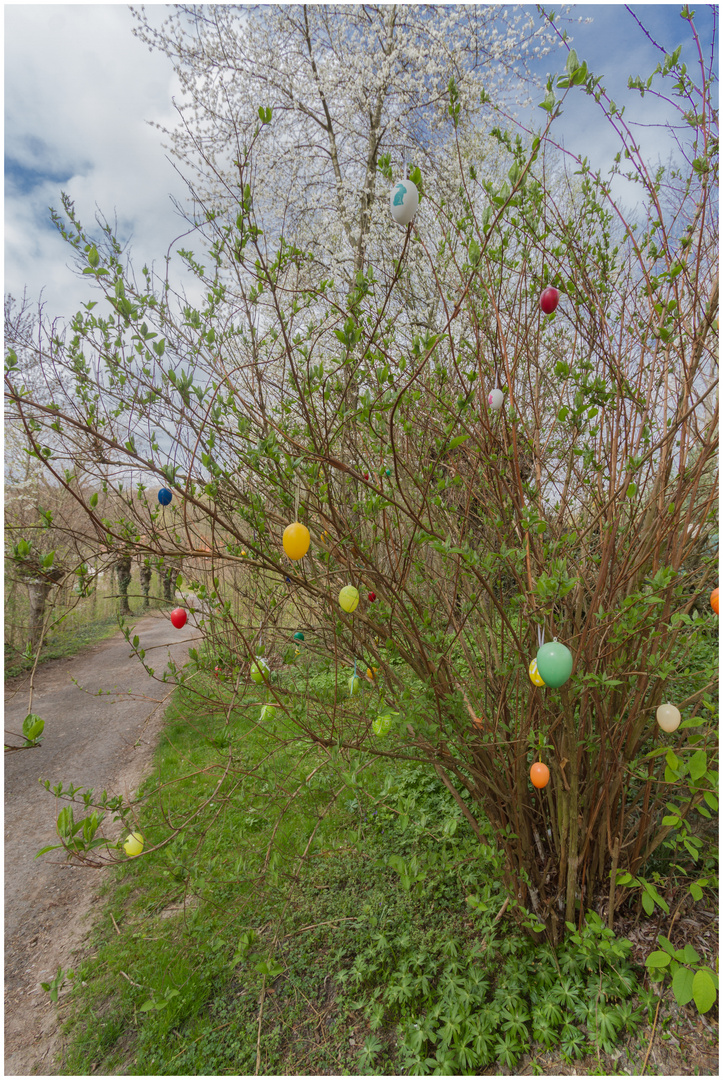 Eier am Wegesrand