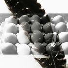 Eier mit Hühnerfeder