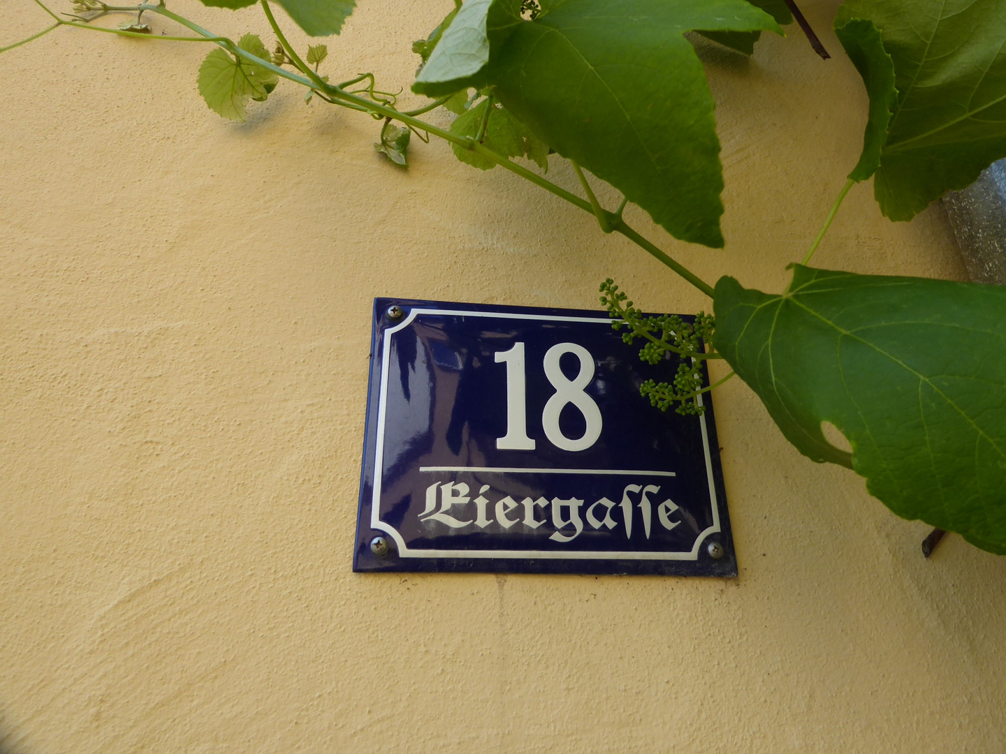 Eiergasse 18....