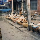 Eierhändler Xi´an Shaanxi China