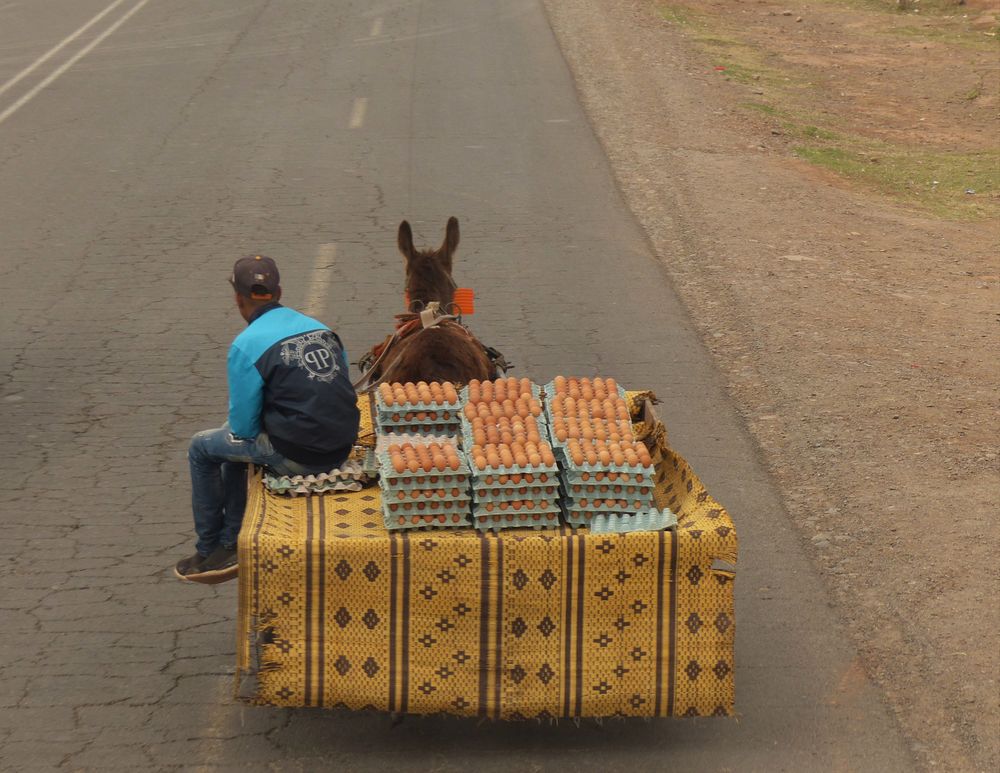 Eiermann Foto & Bild monatswettbewerbe, 2021, 12 dein bestes foto