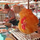 Eiermann auf dem Mainzer Wochenmarkt