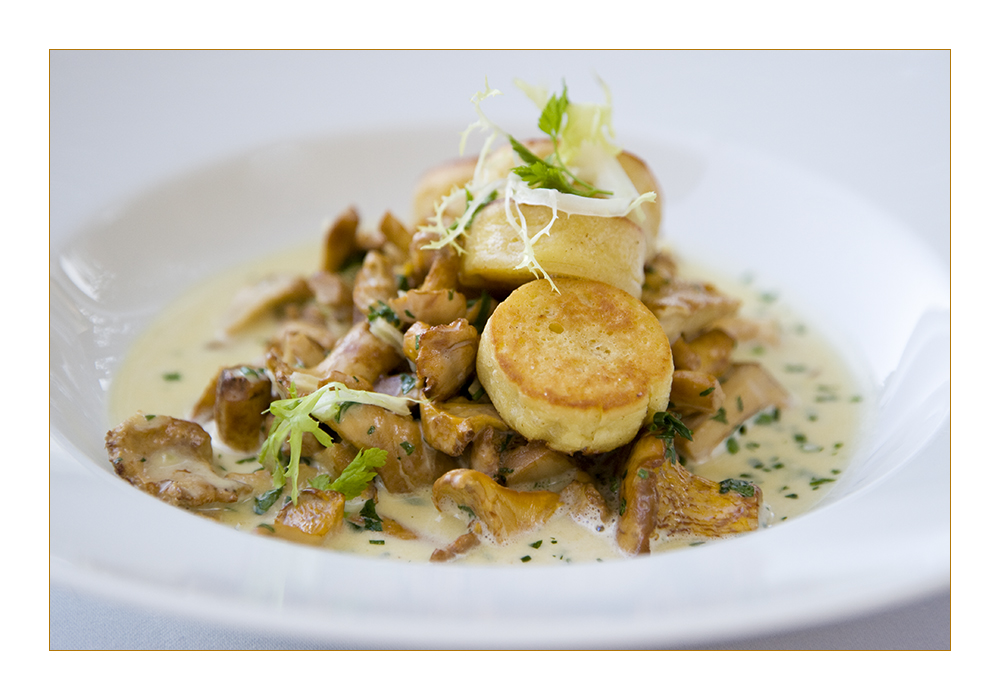 Eierschwammerl (Pfifferlinge) mit Topfen-Semmelknödel