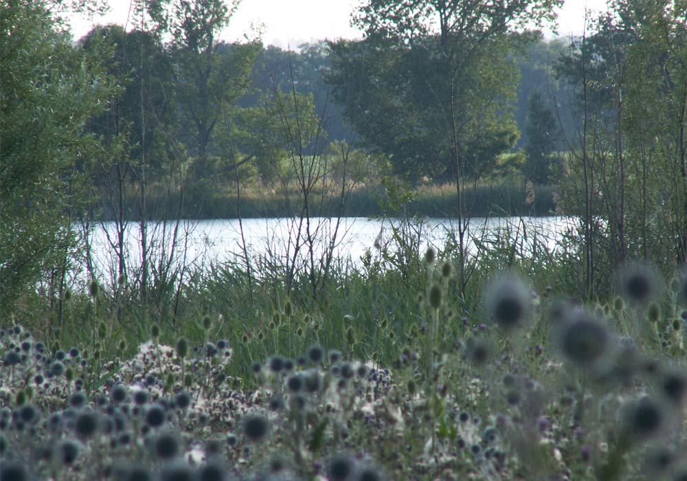 eifach schön Foto & Bild landschaft, bach, fluss & see, see, teich