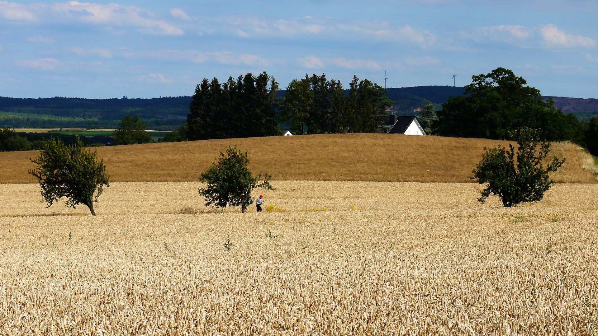 Eifel 1