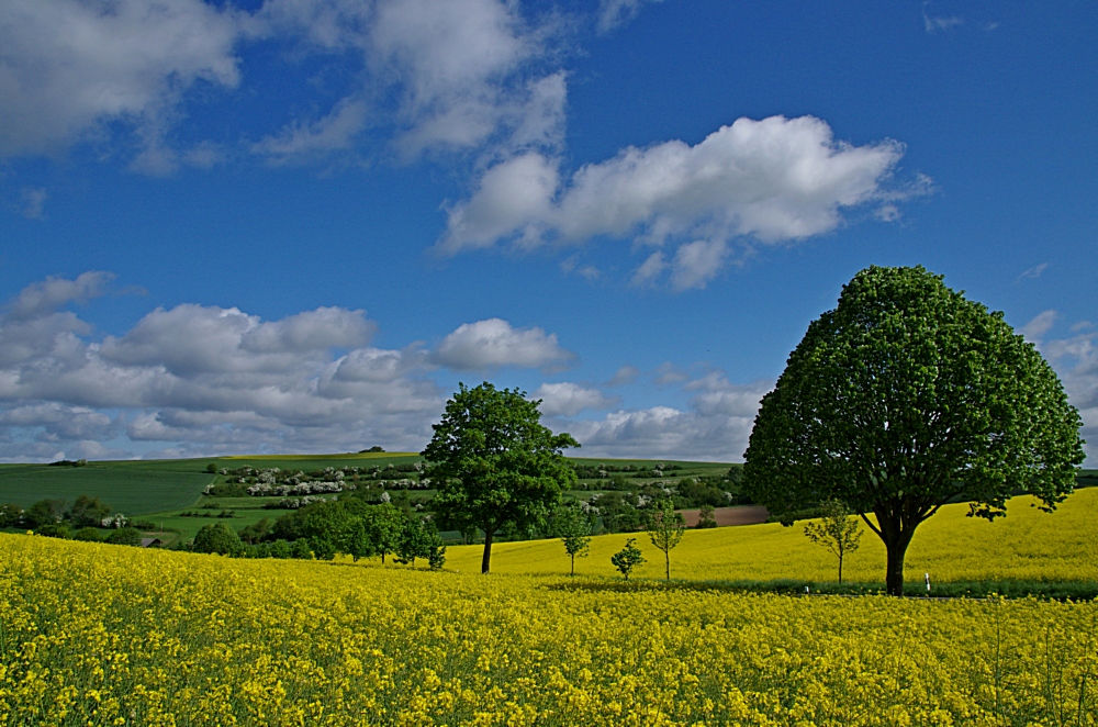 Eifel 19.5.15