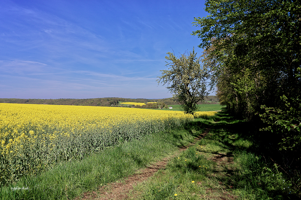 Eifel