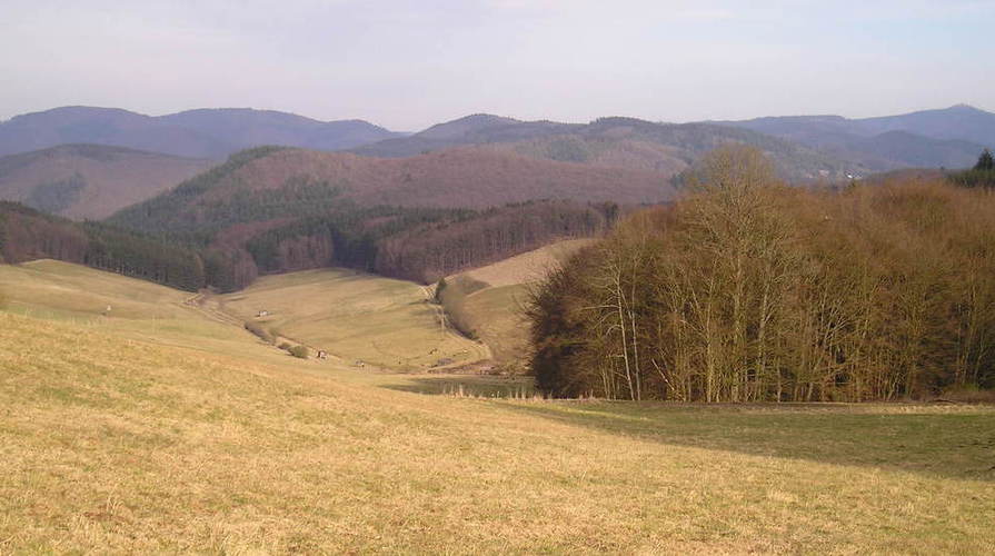 Eifel 2008