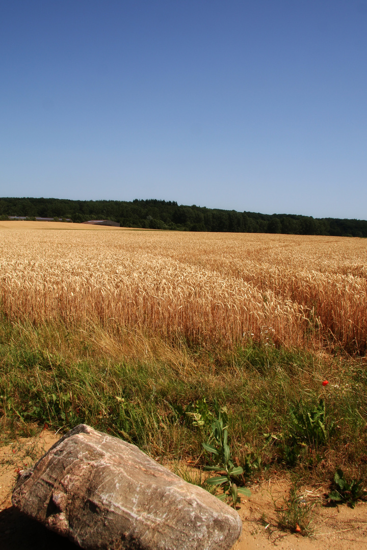 Eifel 2010