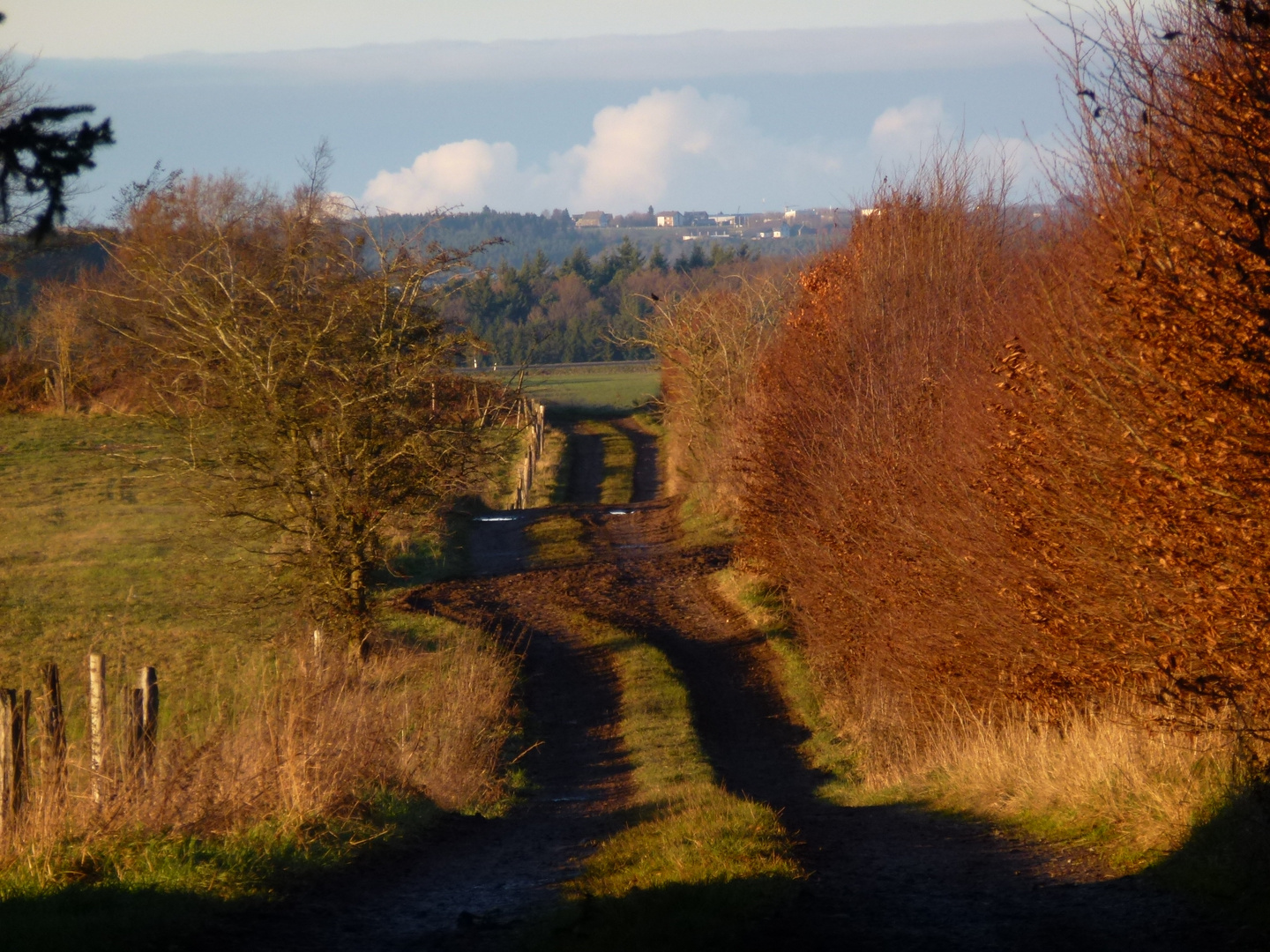 Eifel 2012