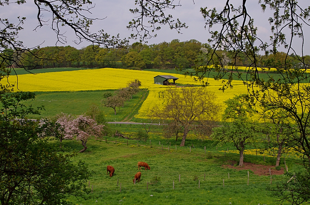 Eifel 2.5.15