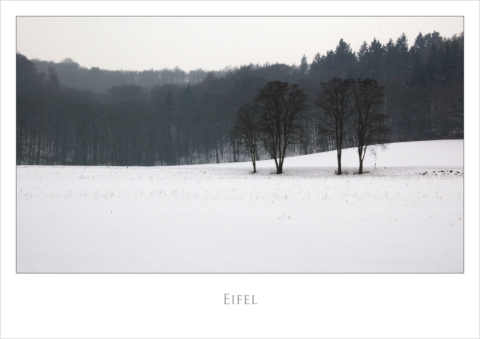 EIFEL