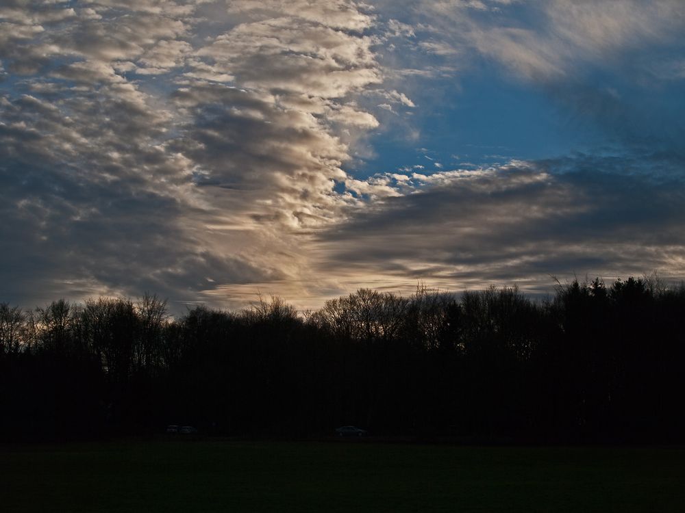 Eifel am 29.12.2012 /1