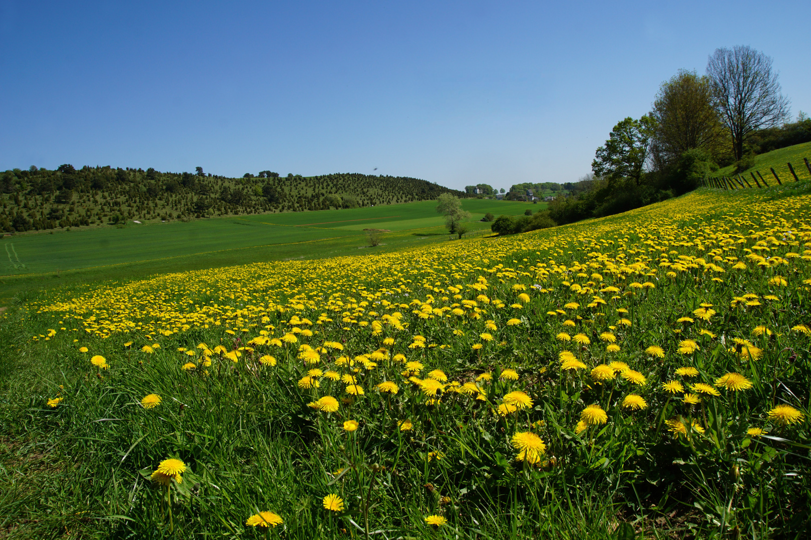 Eifel bei Blankenheim