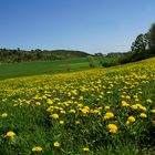 Eifel bei Blankenheim