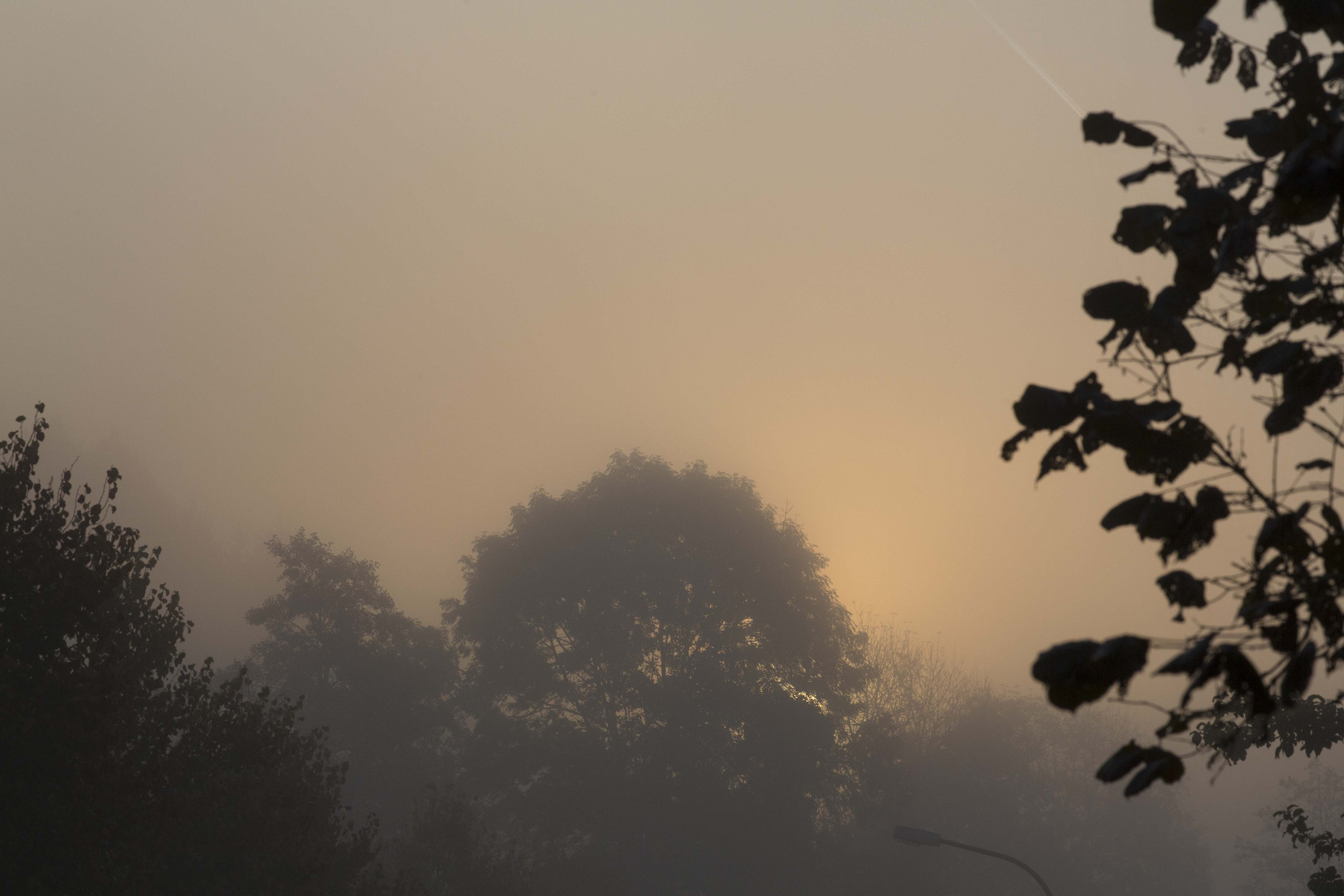 Eifel bei Sonnenaufgang