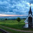 Eifel-Blick