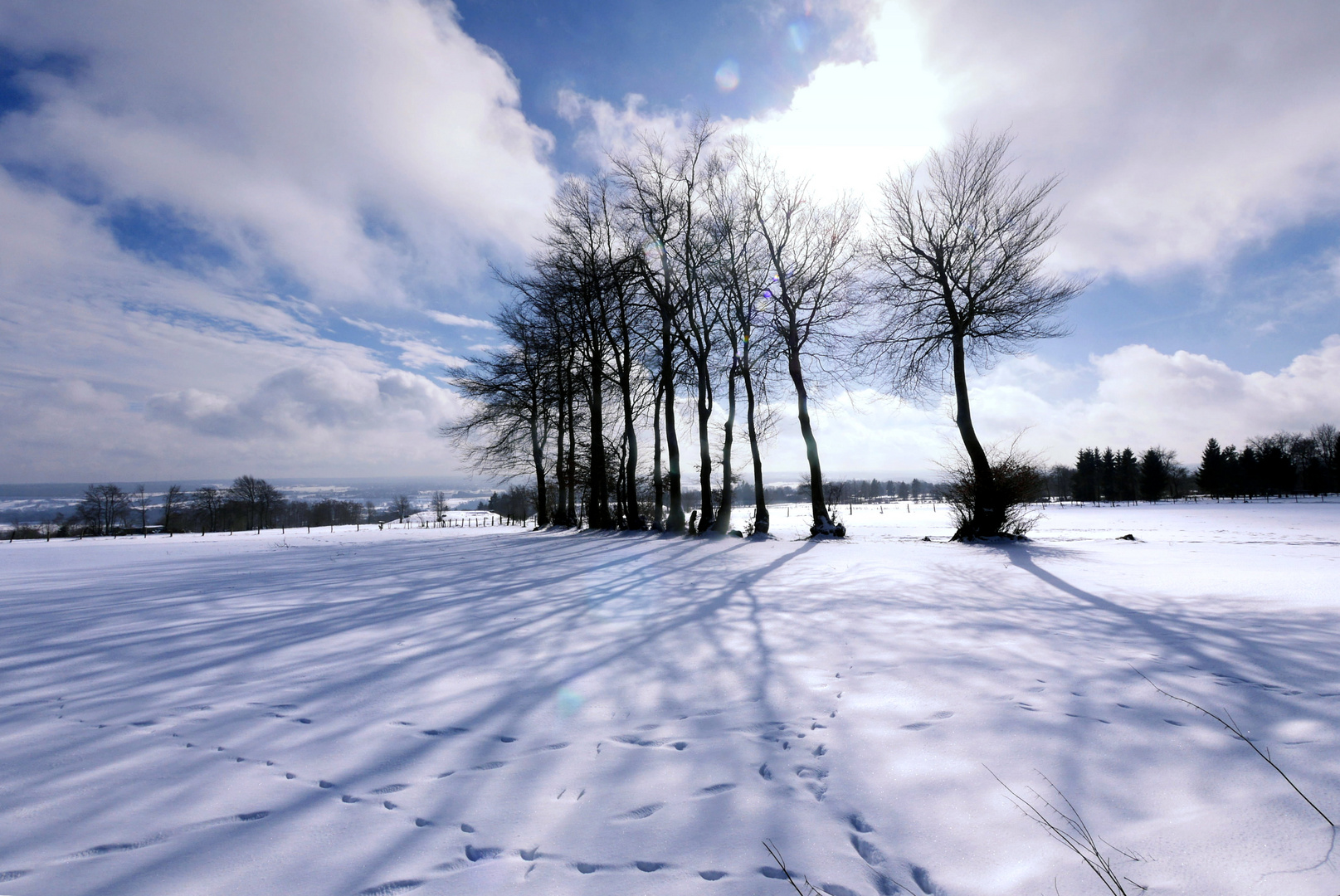 Eifel-Blick