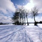 Eifel-Blick