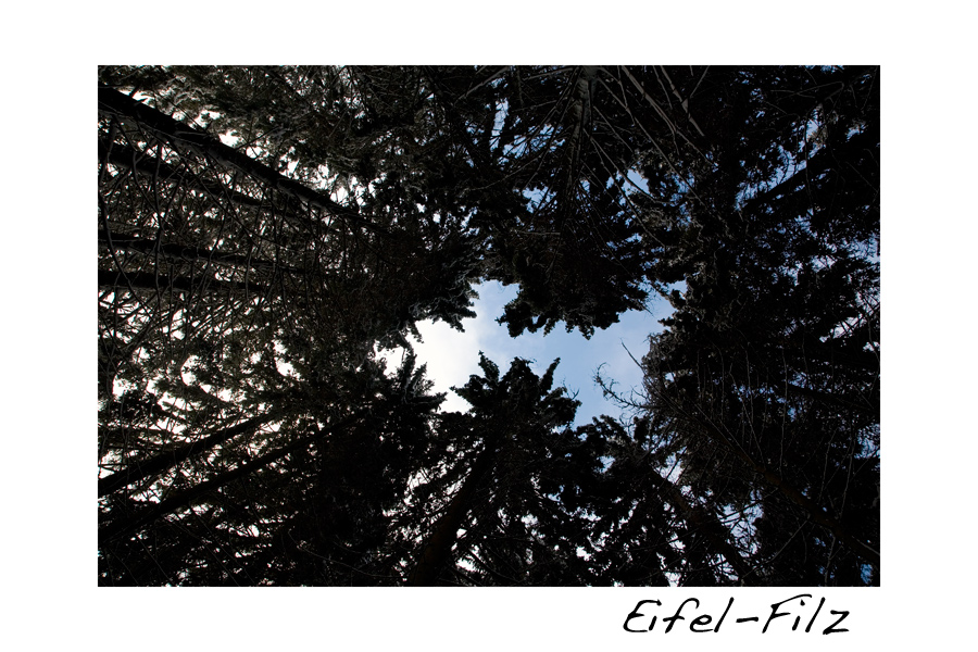 Eifel-Filz